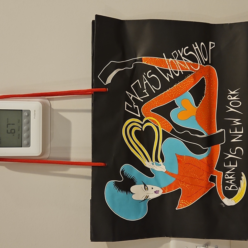 Barneys New York Gaga's Workshop Graphic Shopping BAG 2011